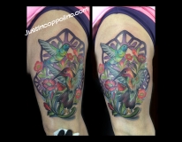 justinhummingbirdfinal