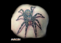 justinspiderbuttfinal