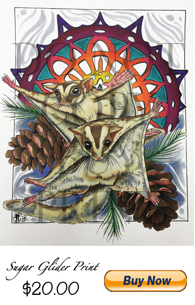 Sugar Glider Print